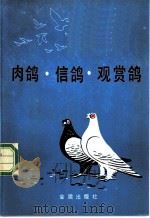 肉鸽·信鸽·观赏鸽 1988 PDF电子版封面 7800220966 胡国琛,陈益填编著