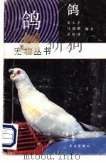 鸽   1992  PDF电子版封面  7109024970  朱小平等编著 