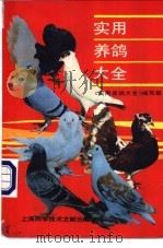 实用养鸽大全 1990 PDF电子版封面 7805134219 《实用养鸽大全》编写组编