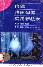 肉鸽快速饲养实用新技术 1994 PDF电子版封面 7535713718 王克振编著
