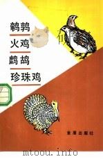 鹌鹑·火鸡·鹧鸪·珍珠鸡 1989 PDF电子版封面 7800221350 慎伟杰等编著