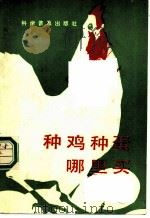 种鸡种蛋哪里买 1985 PDF电子版封面 16051·1068 鞠恩功等编