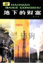 地下的财富 1981 PDF电子版封面 13056·122 魏伯祥编著