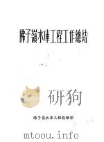 佛子岭水库工程工作总结（ PDF版）