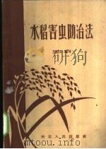 水稻害虫防治法 1958 PDF电子版封面 T16086·78 王碗石编著