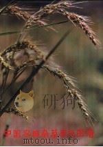 中国农田杂草原色图谱 1990 PDF电子版封面 7109018741 《中国农田杂草原色图谱》编委会编;上海杜邦农化有限公司协助