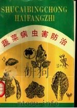 蔬菜病虫害防治 1991 PDF电子版封面 7533706080 倪守延等编