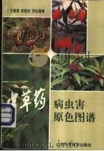 中草药病虫害原色图谱 1996 PDF电子版封面 7533117077 于春海等编著