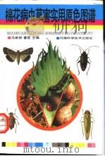 棉花病虫草害实用原色图谱 1995 PDF电子版封面 753491566X 马奇祥,姜昆主编