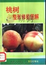 桃树整形修剪图解 1995 PDF电子版封面 7508200896 张鹏,魏连贵编著