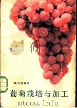 葡萄栽培与加工 1984 PDF电子版封面 16204·182 魏文娜编著