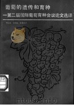 葡萄的遗传和育种 第二届国际葡萄育种会议论文选译 1980 PDF电子版封面 7109002942 罗国光等译