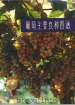 葡萄主要良种图谱 1980 PDF电子版封面 16195·20 山东葡萄试验站编