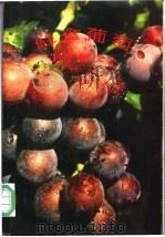 鲜食葡萄生产新技术 省工简化优质高产栽培法 1991 PDF电子版封面 7109021831 李志杰编著