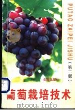 葡萄栽培技术 1997 PDF电子版封面 7508204689 刘捍中,石桂英编著