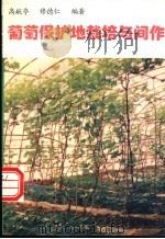 葡萄保护地栽培与间作 1997 PDF电子版封面 7110041271 高献亭,修德仁编著