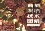 葡萄栽培技术图解 1984 PDF电子版封面 7538103414 许生著