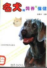 名犬的饲养与保健 1993 PDF电子版封面 753451715X 张振兴主编