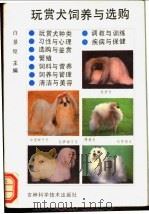 玩赏犬饲养与选购 1992 PDF电子版封面 7538410252 白景煌主编