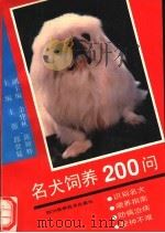 名犬饲养200问 1993 PDF电子版封面 7536426771 王强,邱贤猛主编