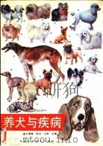 养犬与疾病 1990 PDF电子版封面 7538406239 白景煌等主编
