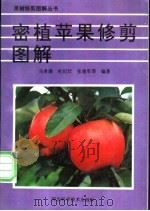 密植苹果修剪图解 1996 PDF电子版封面 7537515697 马希满等编著;杜纪壮绘图