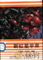 新红星苹果 1987 PDF电子版封面 7109000729 汪景彦,于洪华编著