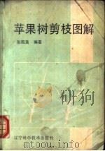 苹果树剪枝图解 1986 PDF电子版封面 7518300199 张殿高编著