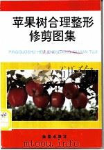 苹果树合理整形修剪图集 1993 PDF电子版封面 7800225437 汪景彦,朱奇著