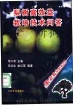 梨树高效益栽培技术问答 1997 PDF电子版封面 7109048764 陆秋农主编;周润生,赵红军编著