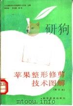 苹果整形修剪技术图解 1988 PDF电子版封面 7110008398 山东省科学技术协会普及工作部主编