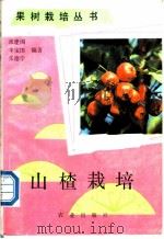 山楂栽培 1988 PDF电子版封面 7109003361 张建阁等编著