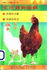 实用鸡病图解 1995 PDF电子版封面 7537514089 王廷富,房海主编
