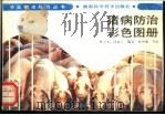 猪病防治彩色图册 1991 PDF电子版封面 7535708781 林大木,饶自立编著;徐中敏等绘