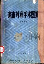 家畜外科手术图解 1984 PDF电子版封面 王强华编