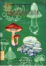 食用菌栽培制种实用技术 1988 PDF电子版封面 桂馨,敬华编著