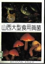 山西大型食用真菌 1991 PDF电子版封面 7810320394 刘波主编