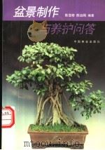 盆景制作与养护问答   1996  PDF电子版封面  7503817275  陈显修，陈远刚编著 