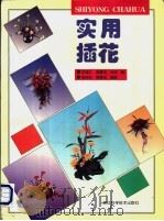 实用插花 1996 PDF电子版封面 7534109191 王继仁等编;张侯权,徐碧玉摄