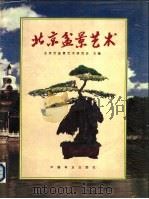 北京盆景艺术 1999 PDF电子版封面 7503821558 北京市盆景艺术研究会主编