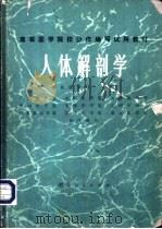 人体解剖学 1977 PDF电子版封面 14106·97 湖北医学院主编