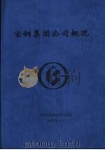宝钢集团公司概况（ PDF版）