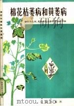 棉花枯萎病和黄萎病 1976 PDF电子版封面 16144·1747 全国棉花枯、黄萎病综合防治研究协作组编