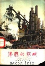 沸腾的钢城 1973 PDF电子版封面 中共马鞍山市委编写组编
