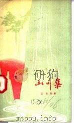 山川集 1960 PDF电子版封面 王书怀著