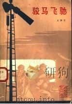 骏马飞驰   1965  PDF电子版封面  10071·710  王慧芹著 