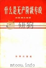 什么是无产阶级专政 1959 PDF电子版封面 6004·290 (苏)契廖姆内赫,П.著;陈汉章译
