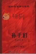 孙子们 1958 PDF电子版封面 10078·0535 (德)布莱德尔,W.著;张威廉译