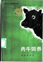 肉牛饲养 1987 PDF电子版封面 7109001091 (美)马舒斯麦(J.K.Matsushima)著