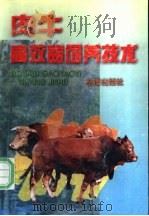 肉牛高效益饲养技术 1997 PDF电子版封面 7508203755 王加启等编著